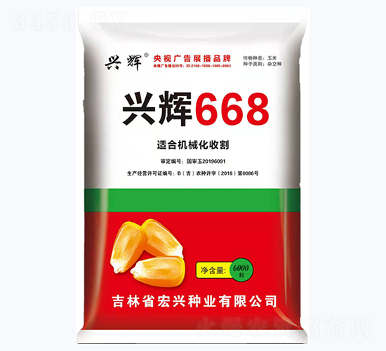 興輝668-玉米種子-宏興種業(yè)