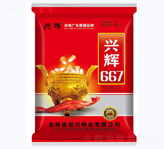 興輝667-玉米種子-宏興種業