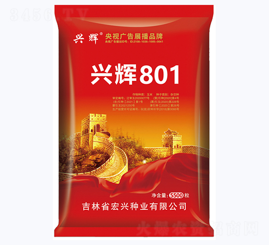 興輝801-玉米種子-宏興種業(yè)