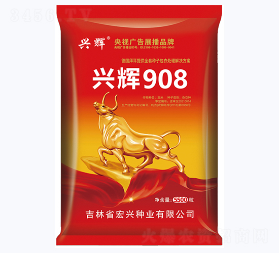 興輝908-玉米種子-宏興種業(yè)