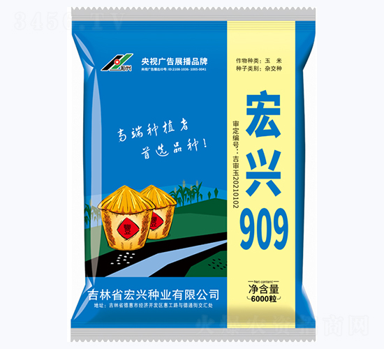 宏興909-玉米種子-宏興種業(yè)