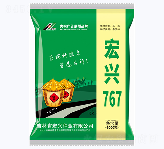宏興767-玉米種子-宏興種業