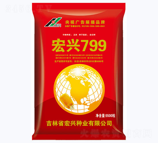 宏興799-玉米種子-宏興種業