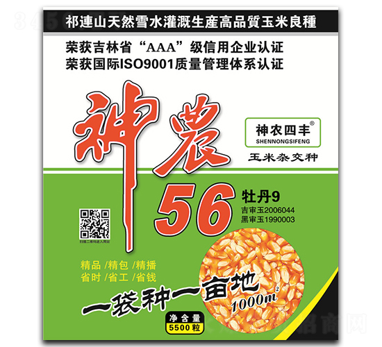 神農(nóng)56-玉米種子-神農(nóng)種業(yè)