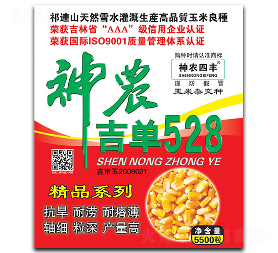 神農吉單528-玉米種子-神農種業