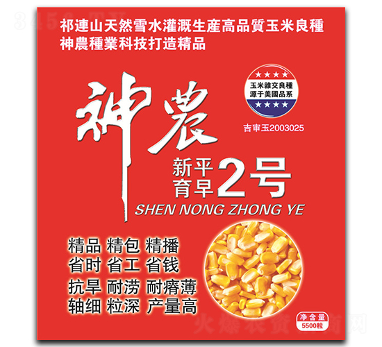 神農新平育早2號-玉米種子-神農種業