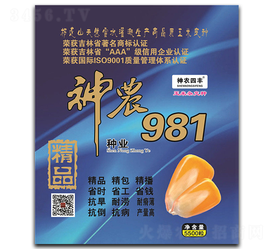 神農981-玉米種子-神農種業
