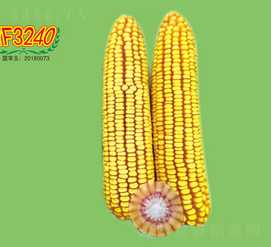 YF3240-׷N-طNI