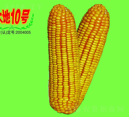 10̖-׷N-طNI