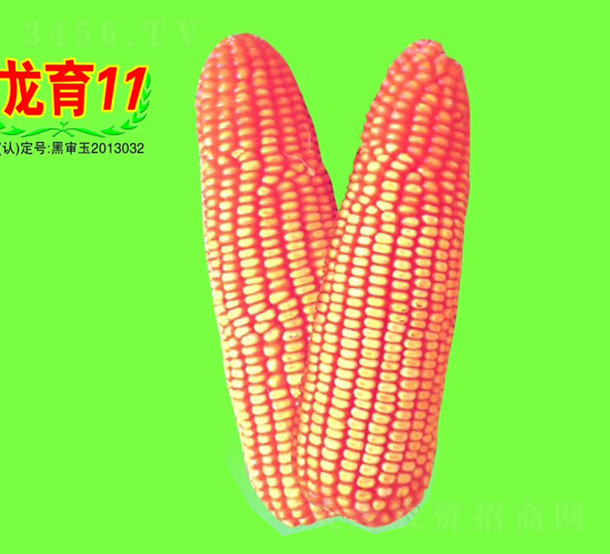 11̖-׷N-طNI