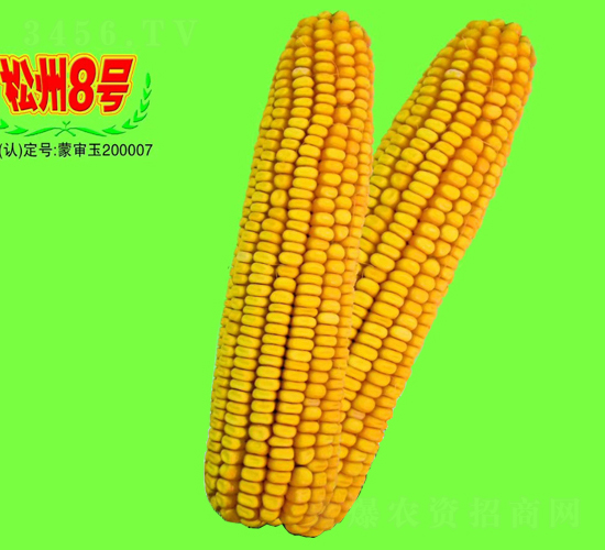 8̖-׷N-طNI