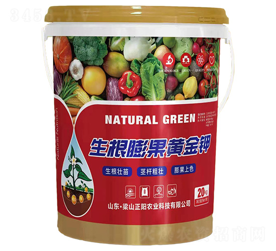 生根膨果黃金鉀-正陽農業