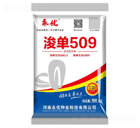 浚單509（4500粒）-玉米種子-永優種業