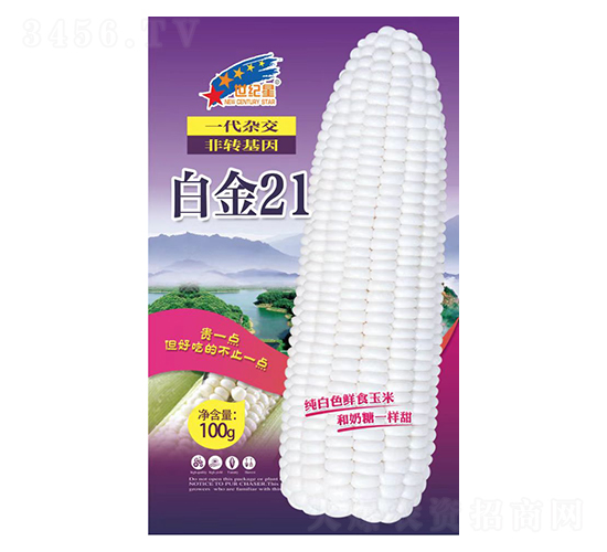 白金21-玉米種子-華一種業(yè)