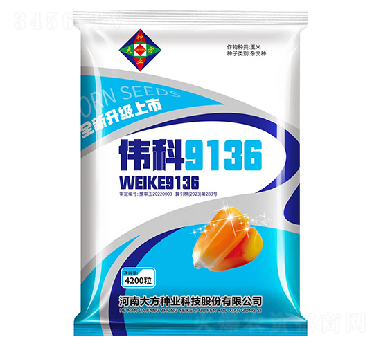 偉科9136-玉米種子-研創種業