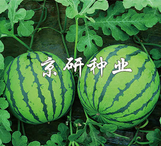 7̖-ϷN-зNI
