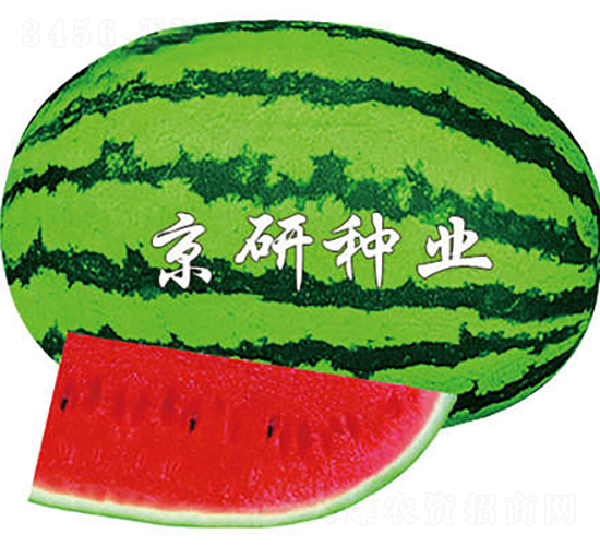 6̖-ϷN-зNI