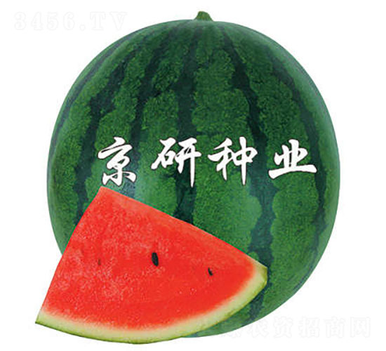 2̖-ϷN-зNI