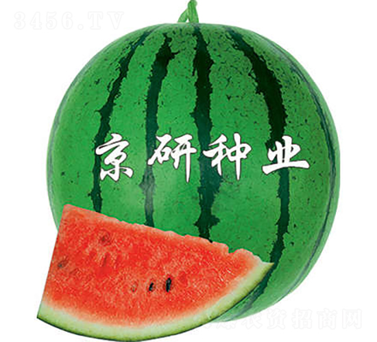 4̖-ϷN-зNI