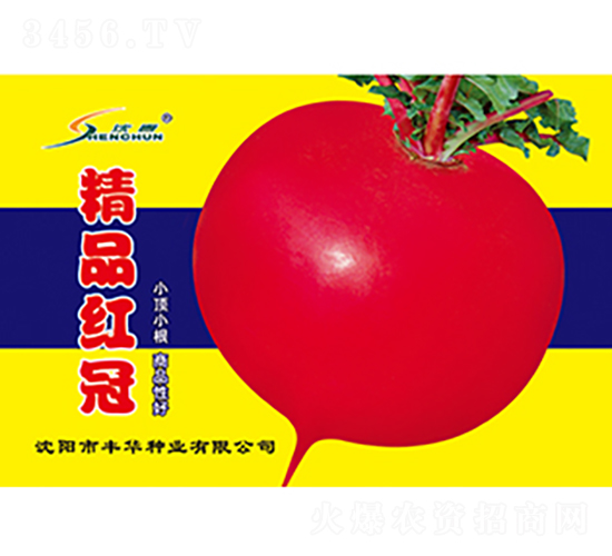 Ʒt-}N-SANI