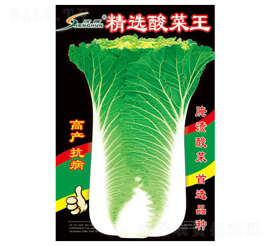 精選酸菜王-白菜種子-豐華種業