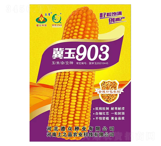 玉米種子-冀玉903-上之品農業