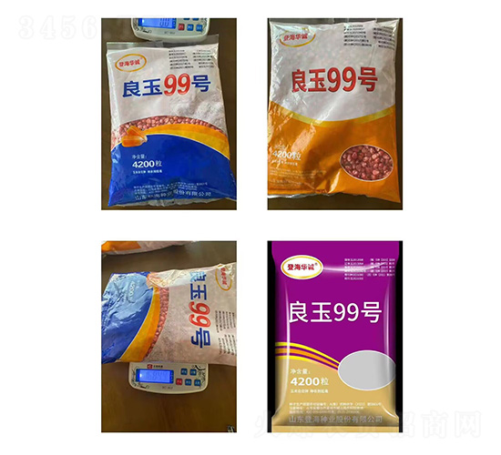 玉米種子-良玉99-研創種業