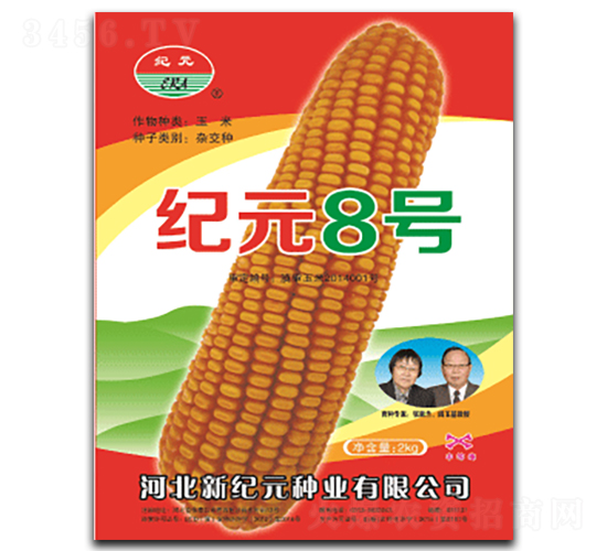 oԪ8̖-׷N-SNI