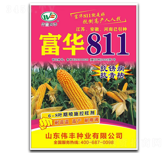 富華811-玉米種子-偉豐種業