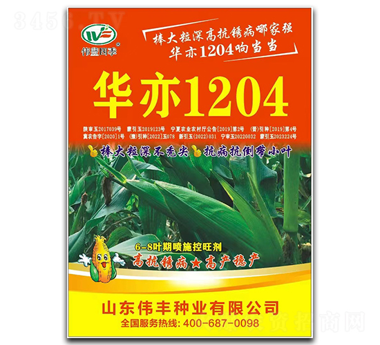 華亦1204玉米種子-偉豐種業