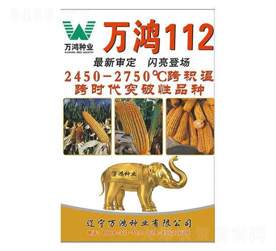 玉米種子-萬鴻112-萬鴻種業