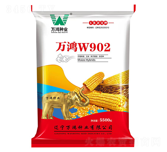 玉米種子-萬鴻W902-萬鴻種業