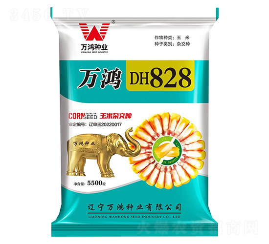 玉米種子-萬鴻DH828-萬鴻種業