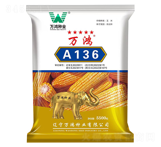玉米種子-萬鴻A136-萬鴻種業