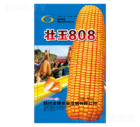 玉米種子-壯玉808-金牌農業