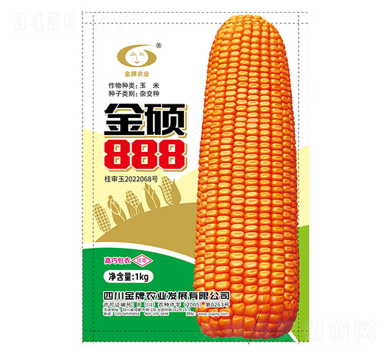 玉米種子-金碩888-金牌農業