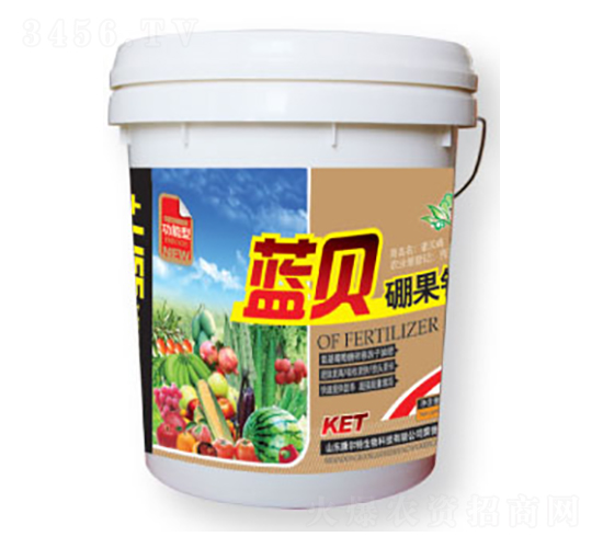 藍貝硼果鈣-康爾特