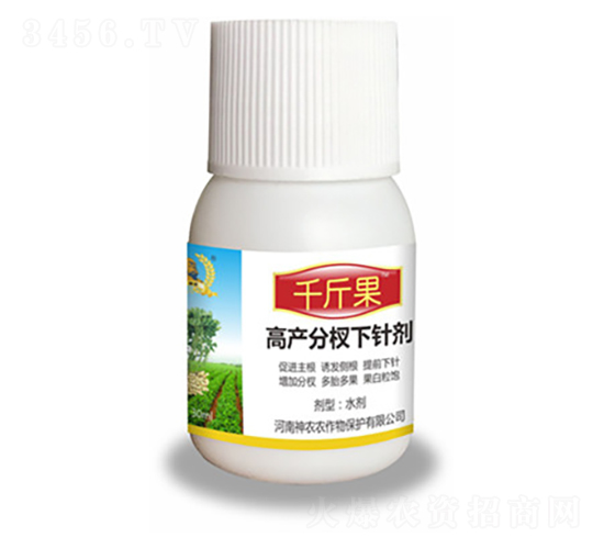 辄-ǧ-r