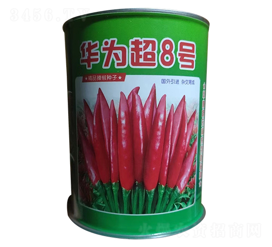 華為超8號-辣椒種子-華為種業(yè)