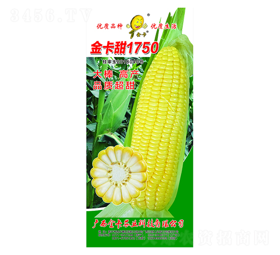 金卡甜1750-玉米種子-金卡農業