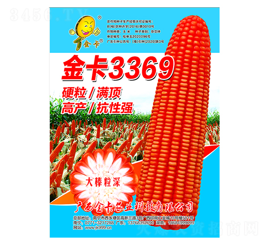 金卡3369-玉米種子-金卡農業