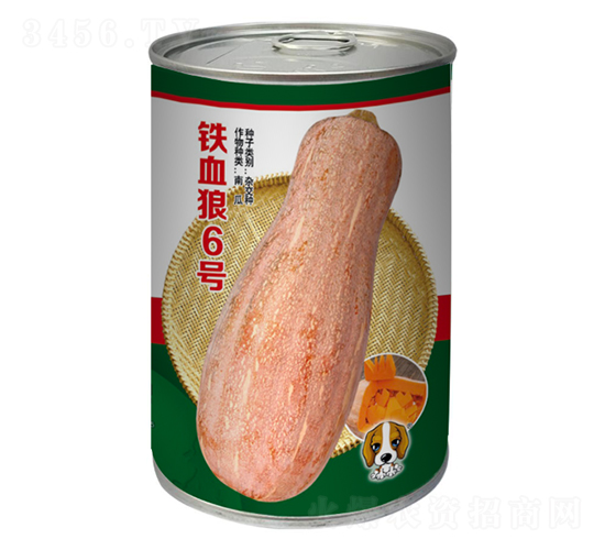 FѪ6̖(ho)-ϹϷN-ٹR-~(gu)H