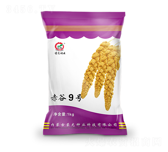 9̖-ӷN-NI