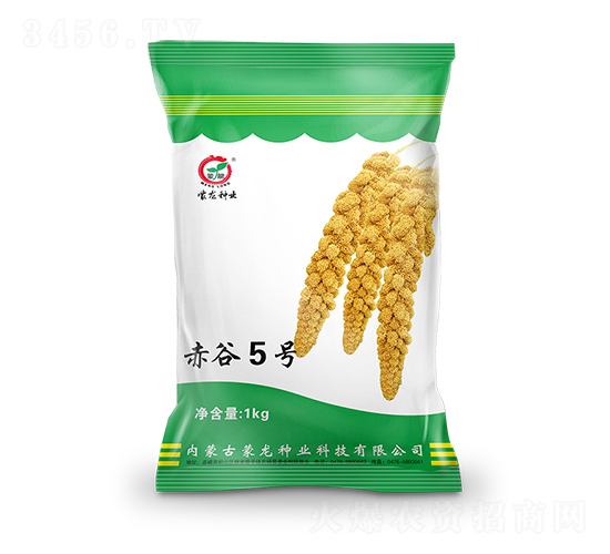 5̖-ӷN-NI