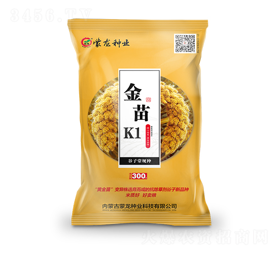 K1S-ӷN-NI