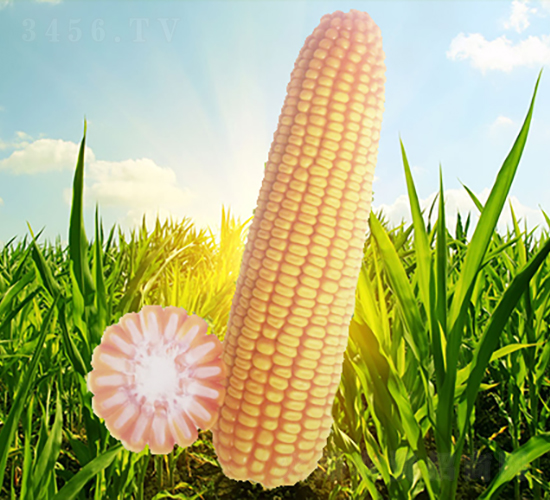x76̖-׷N-NI