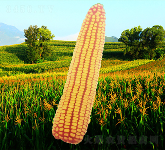 10̖-׷N-NI