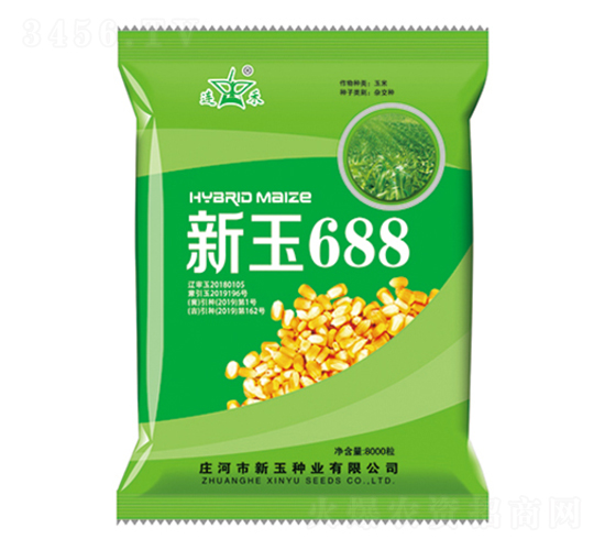 新玉688-玉米種子-新玉種業