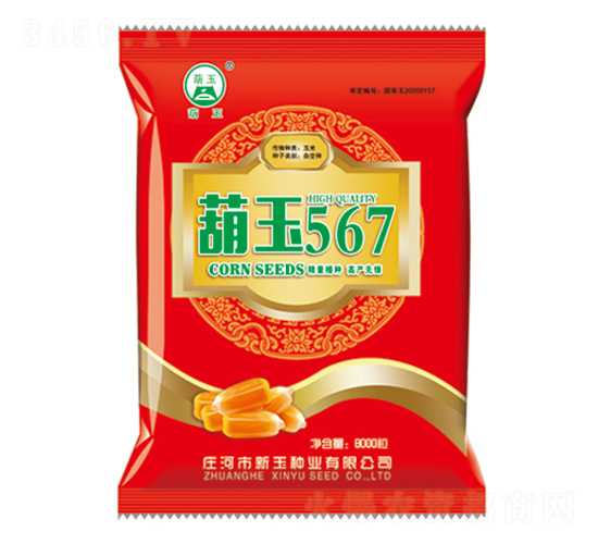 葫玉567-玉米種子-新玉種業