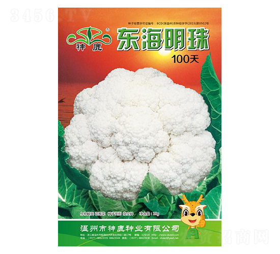 東海明珠100天-花椰菜種子-神鹿種業